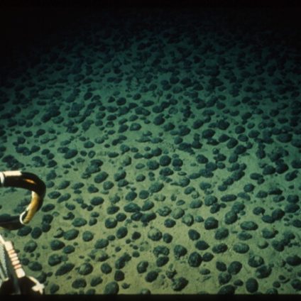 Rinnovabili • Deep sea mining: damage to ocean floor ecosystems lasts over 40 years