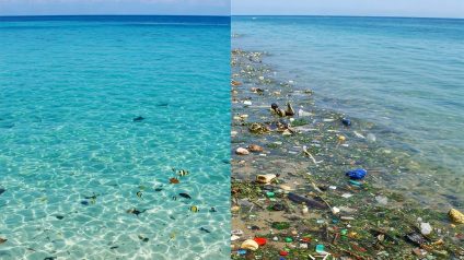 Rinnovabili • Microplastic cleanup: biodegradable spheres trap and lift plastic waste
