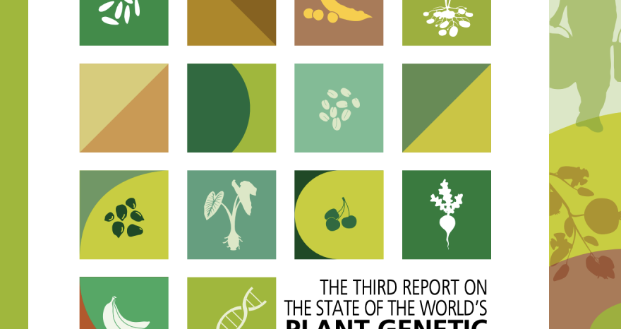 Rinnovabili • Plant genetic resources: the foundation of future food security