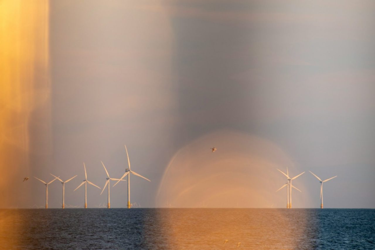 Global wind power: record 117 GW installed in 2024
