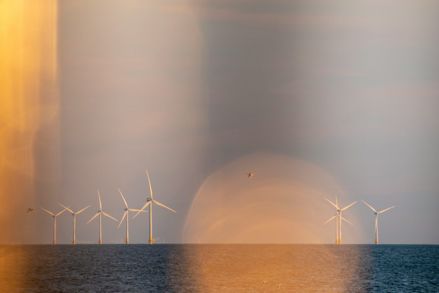 Rinnovabili • Global wind power: record 117 GW installed in 2024