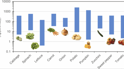 Rinnovabili • Tire additives fruits vegetables: hidden risks in everyday produce