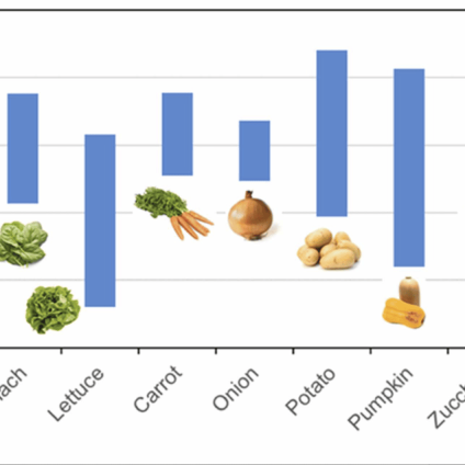 Rinnovabili • Tire additives fruits vegetables: hidden risks in everyday produce
