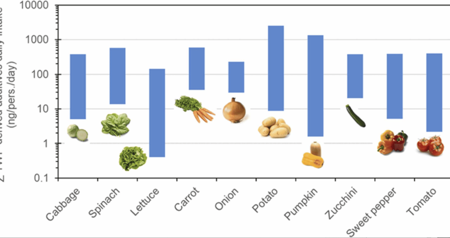 Rinnovabili • Tire additives fruits vegetables: hidden risks in everyday produce