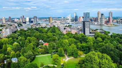 Rinnovabili • Urban greenery reduces heat-related deaths in cities