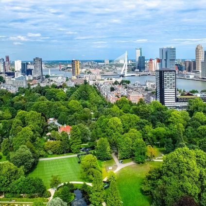 Rinnovabili • Urban greenery reduces heat-related deaths in cities