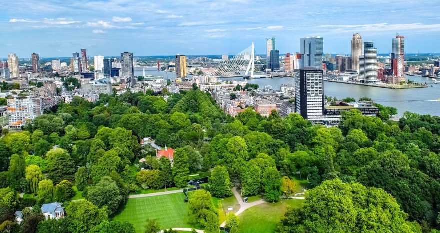 Rinnovabili • Urban greenery reduces heat-related deaths in cities