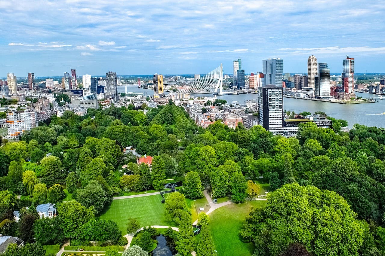 Urban greenery reduces heat-related deaths in cities