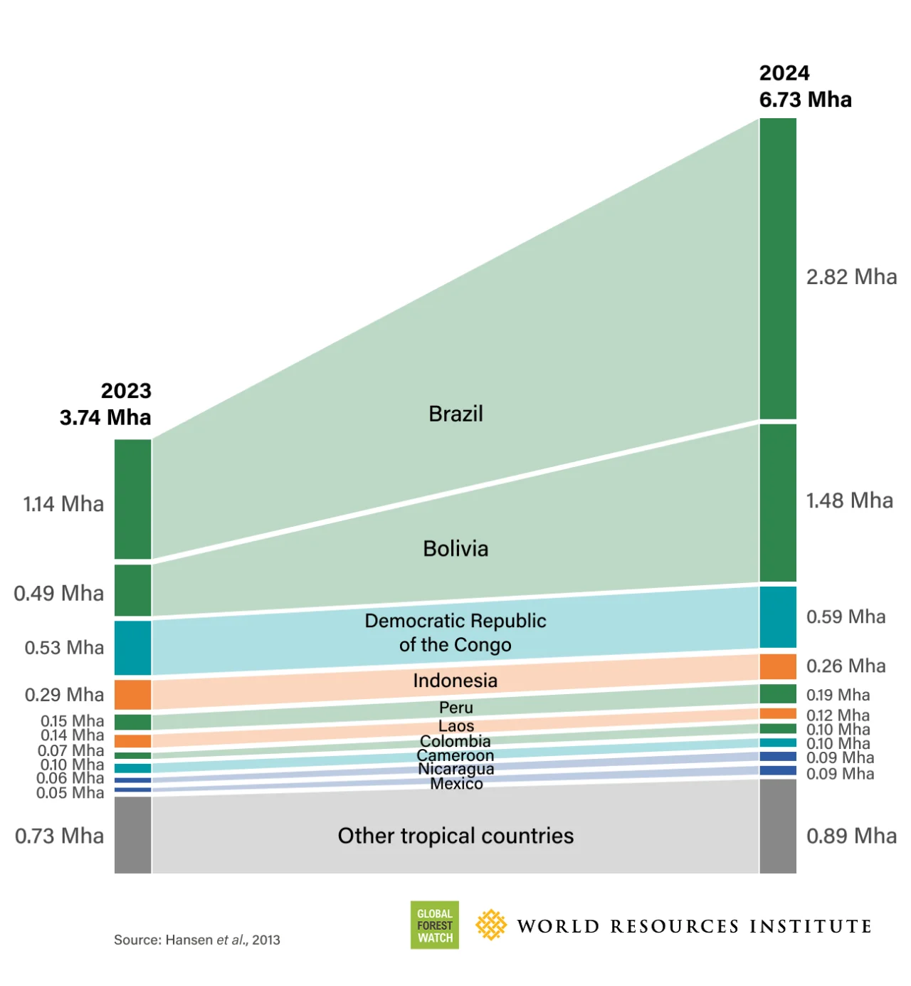Tropical forests hit record fire loss in 2024