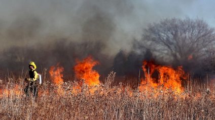 Rinnovabili • Forest fire emissions rise in South Korea, fall in Southeast Asia