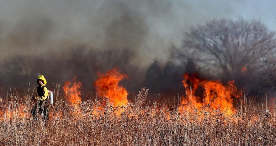 Rinnovabili • Forest fire emissions rise in South Korea, fall in Southeast Asia