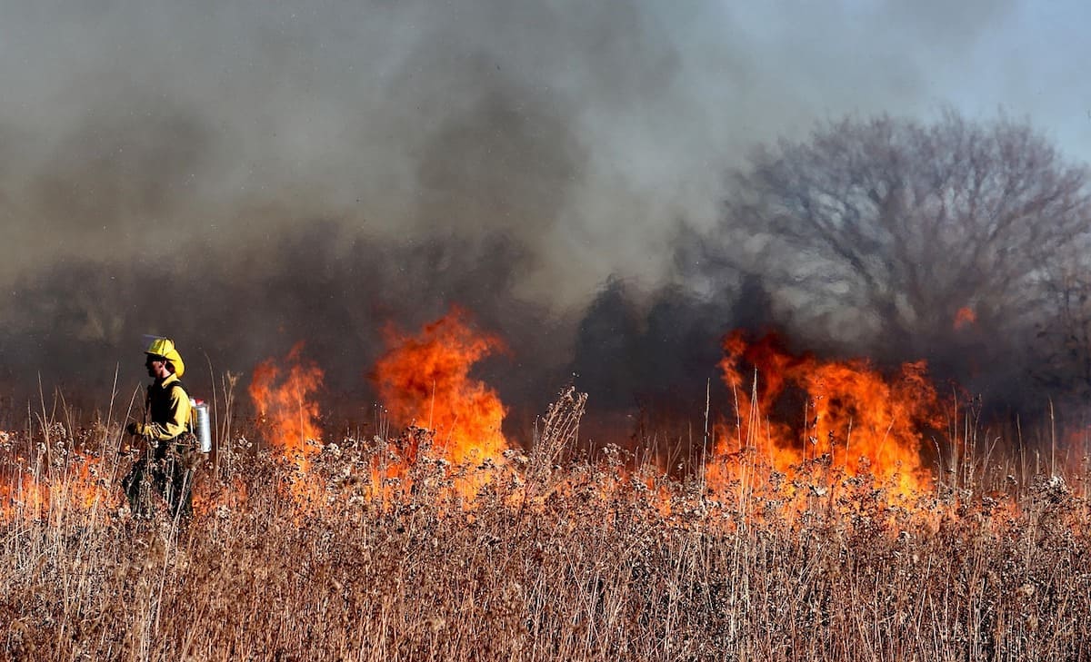 Forest fire emissions rise in South Korea, fall in Southeast Asia