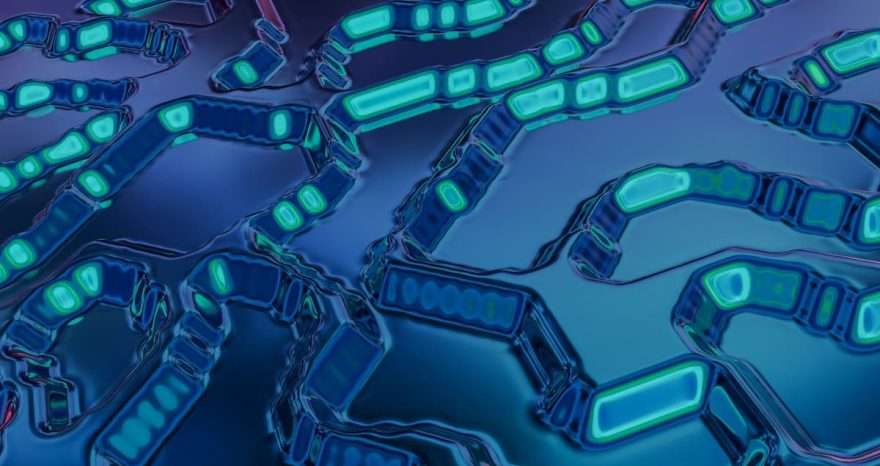 Rinnovabili • Algae nanorobots: biodegradable tech for sustainable innovation