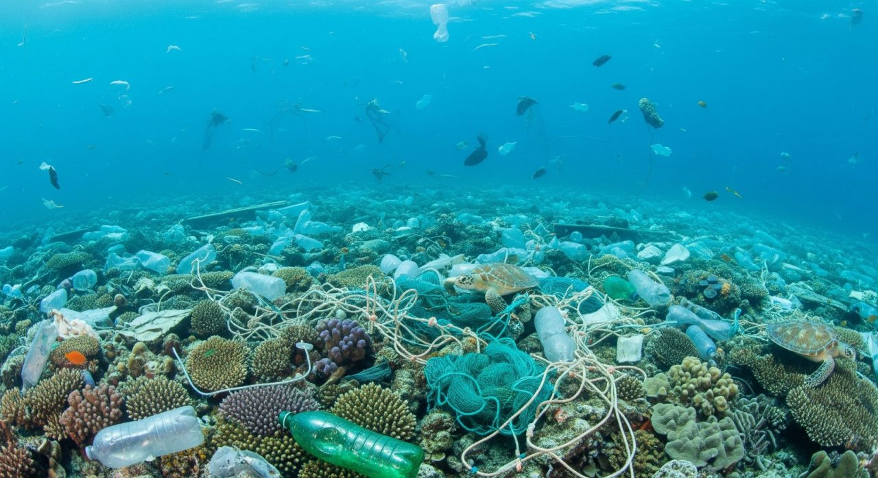 Rinnovabili • World Environment Day 2025: Global Push to End Plastic Pollution