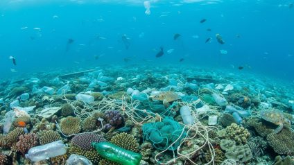 Rinnovabili • World Environment Day 2025: Global Push to End Plastic Pollution