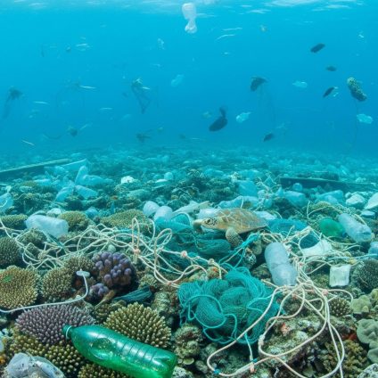 Rinnovabili • World Environment Day 2025: Global Push to End Plastic Pollution