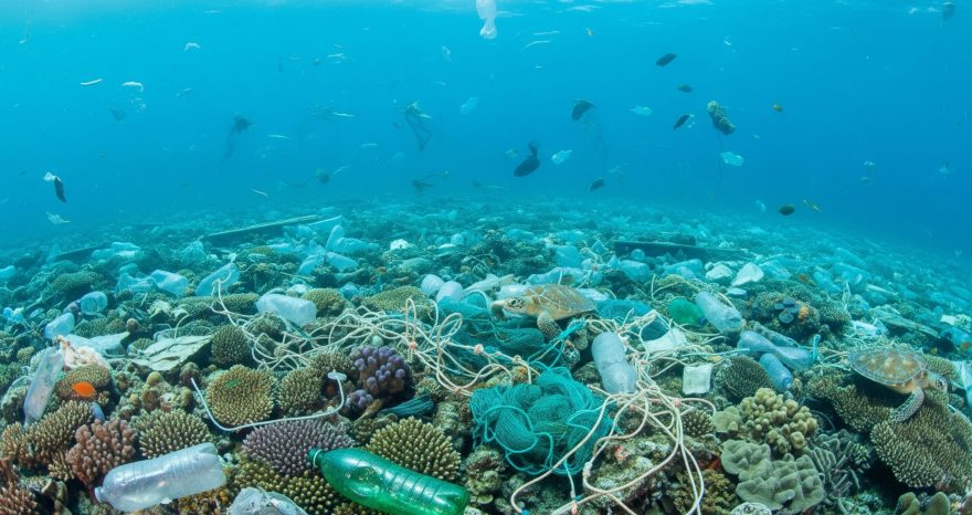 Rinnovabili • World Environment Day 2025: Global Push to End Plastic Pollution