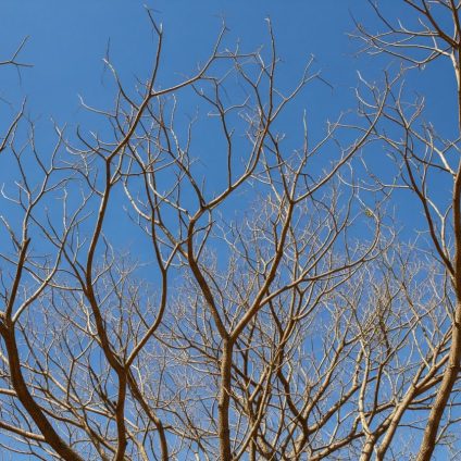 Rinnovabili • Second-hottest May on record in 2025 fuels climate concern