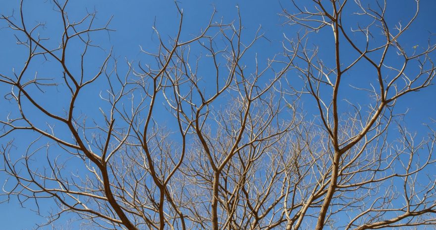 Rinnovabili • Second-hottest May on record in 2025 fuels climate concern