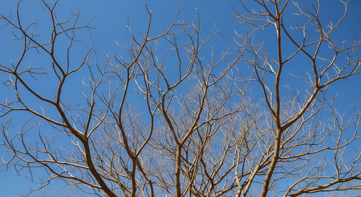 Rinnovabili • Second-hottest May on record in 2025 fuels climate concern