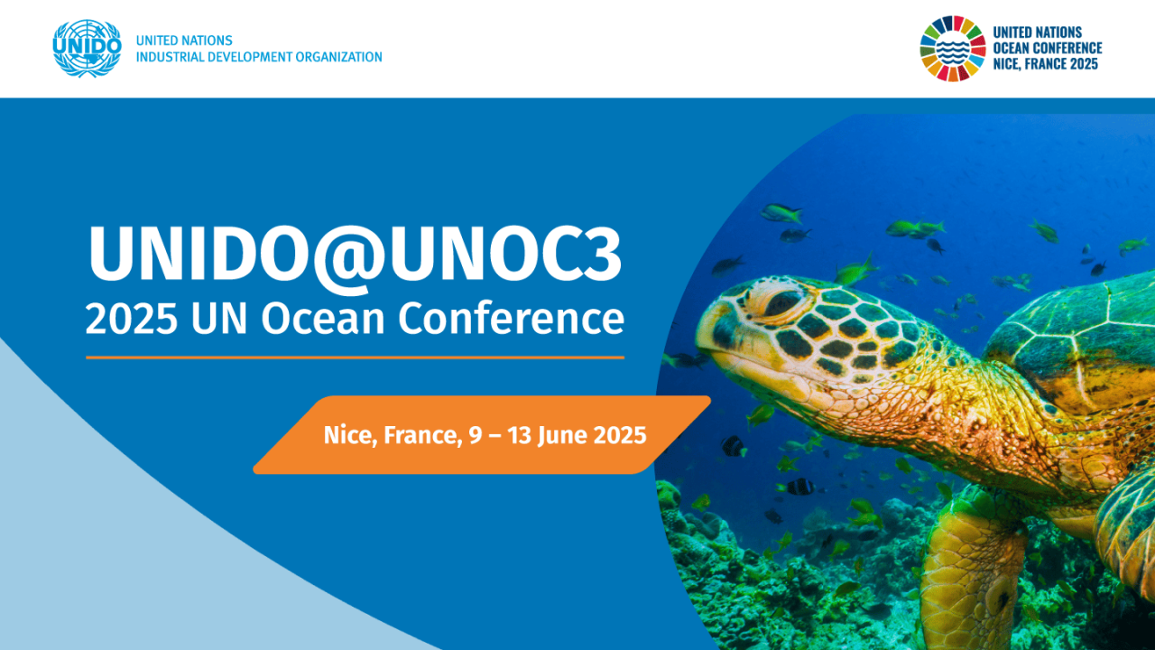 UN High Seas Treaty may take effect by January 2025