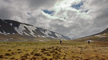 Rinnovabili • Arctic thaw accelerates, reshaping Svalbard's winter