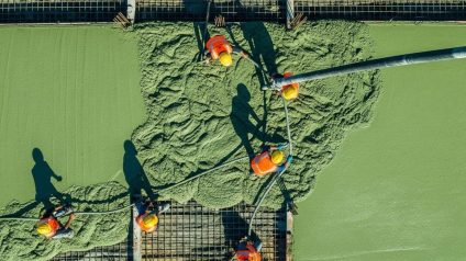 Rinnovabili • Eco-friendly concrete, how AI designs carbon-neutral mixes