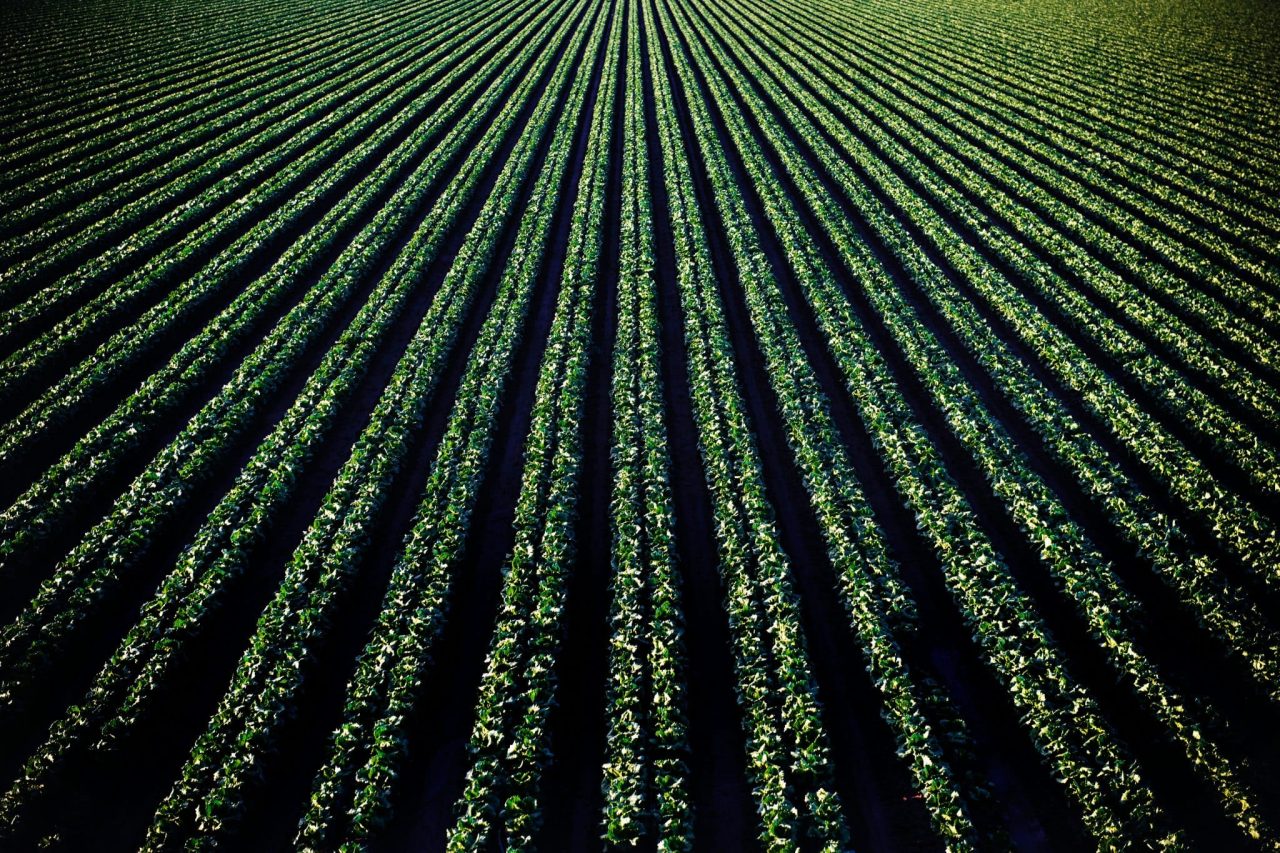Rinnovabili • Food systems at risk, climate adaptation not enough