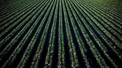 Rinnovabili • Food systems at risk, climate adaptation not enough