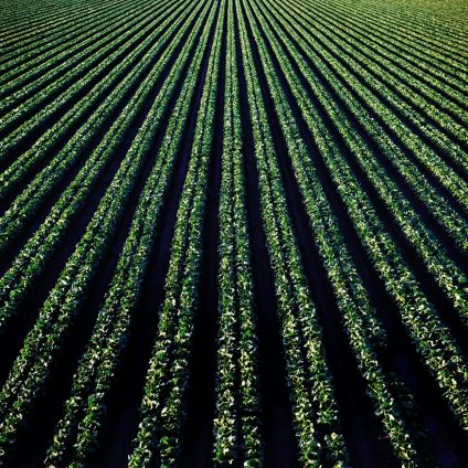 Rinnovabili • Food systems at risk, climate adaptation not enough