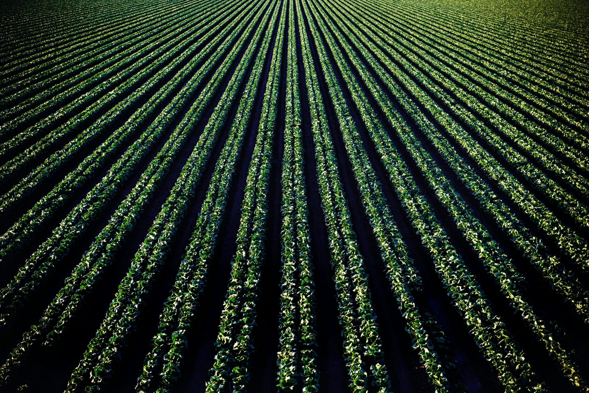 Rinnovabili • Food systems at risk, climate adaptation not enough
