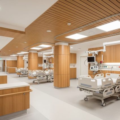 Rinnovabili • Engineered antibacterial wood for healthier, safer hospitals