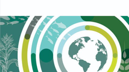Rinnovabili • OECD-FAO report, global agriculture outlook 2025–2034