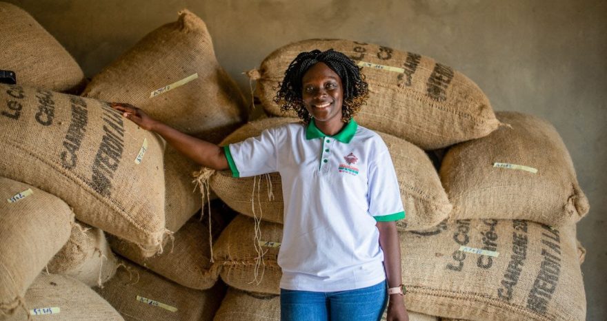 Rinnovabili • Cocoa blockchain in Ivory Coast empowers local farmers