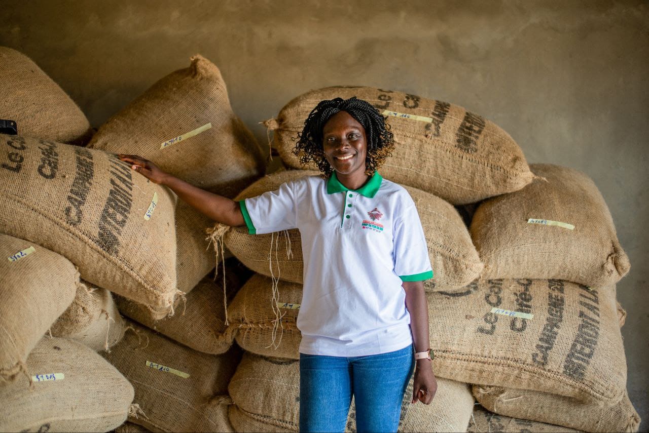 Rinnovabili • Cocoa blockchain in Ivory Coast empowers local farmers