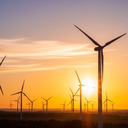 Rinnovabili • Trump’s solar and wind energy policy blocks new projects
