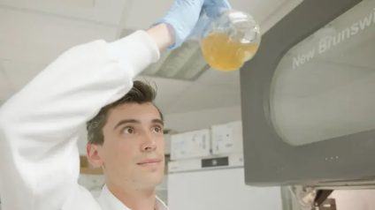 Rinnovabili • Plastic waste converted into paracetamol with zero emissions