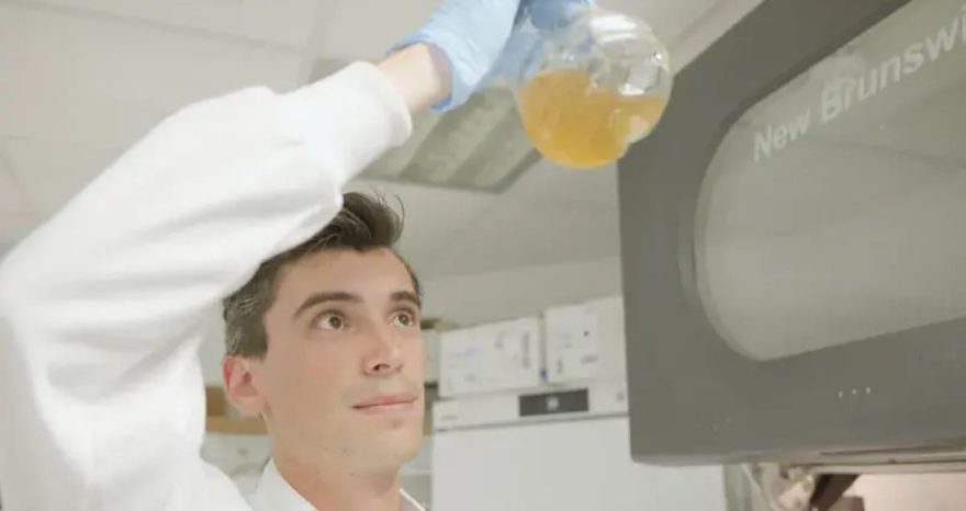 Rinnovabili • Plastic waste converted into paracetamol with zero emissions