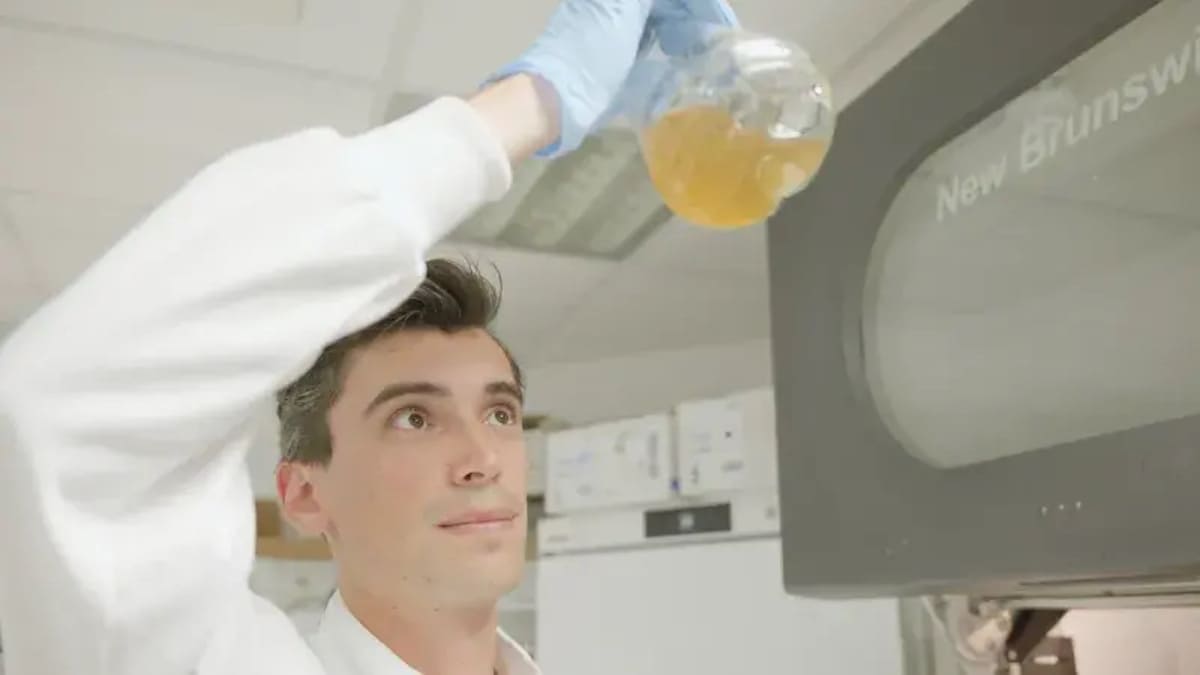 Rinnovabili • Plastic waste converted into paracetamol with zero emissions