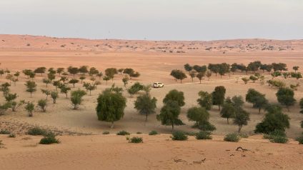 Rinnovabili • Saudi Arabia agriculture and climate: food security in drylands