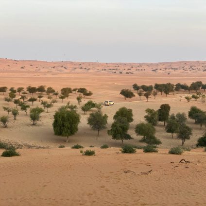 Rinnovabili • Saudi Arabia agriculture and climate: food security in drylands