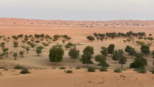 Rinnovabili • Saudi Arabia agriculture and climate: food security in drylands