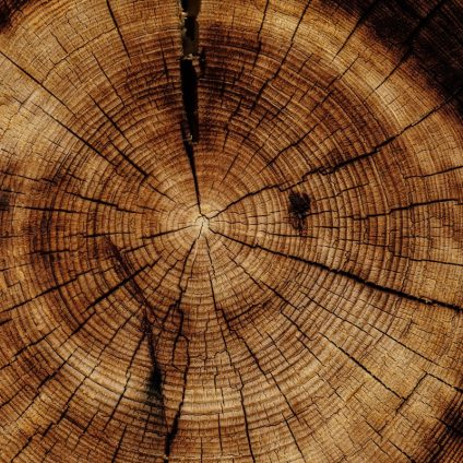 Rinnovabili • Reinforced wood with nanoferrite boosts strength