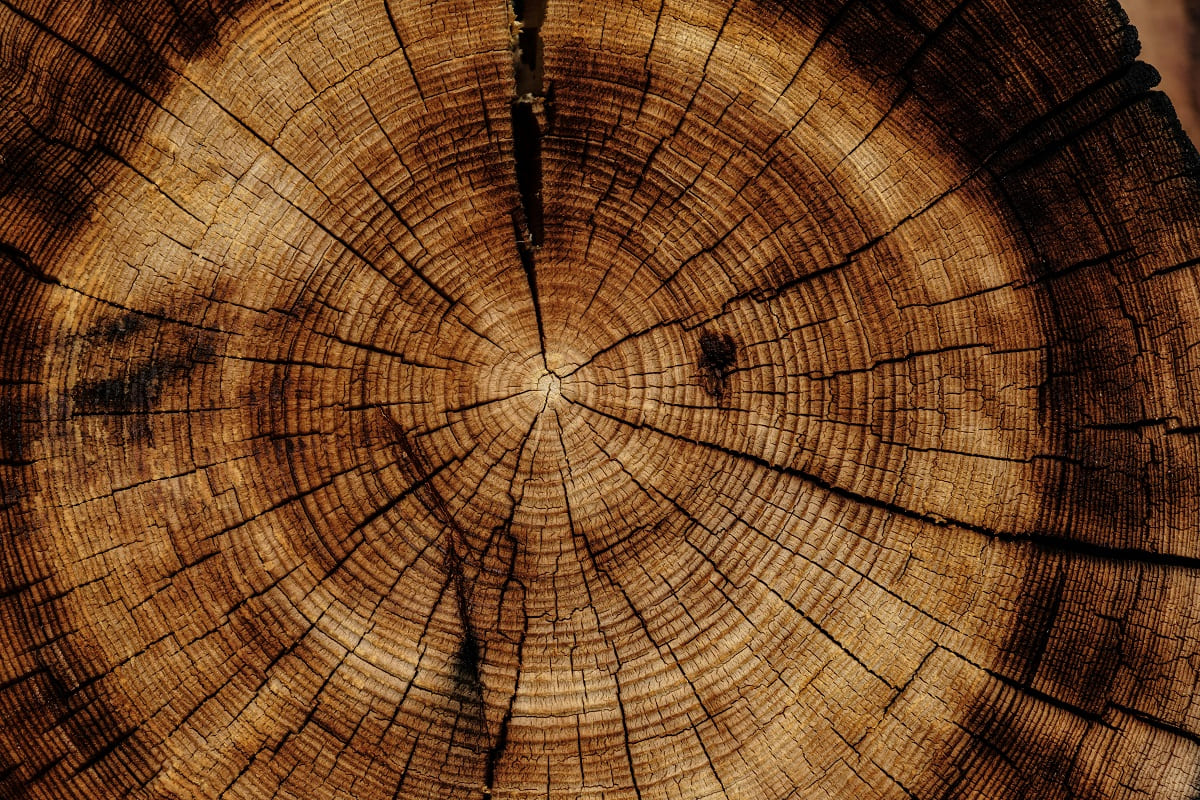 Reinforced wood with nanoferrite boosts strength