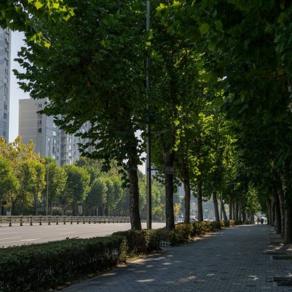 Rinnovabili • urban greenery and health: more trees save lives
