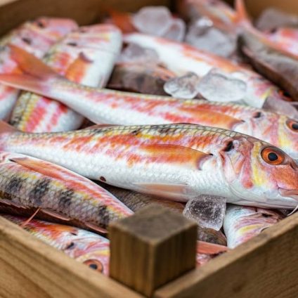 Rinnovabili • WTO agreement on harmful fishing