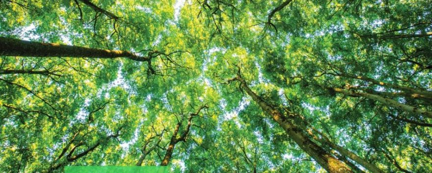 Rinnovabili • Gartner Top 25 Supply Chain