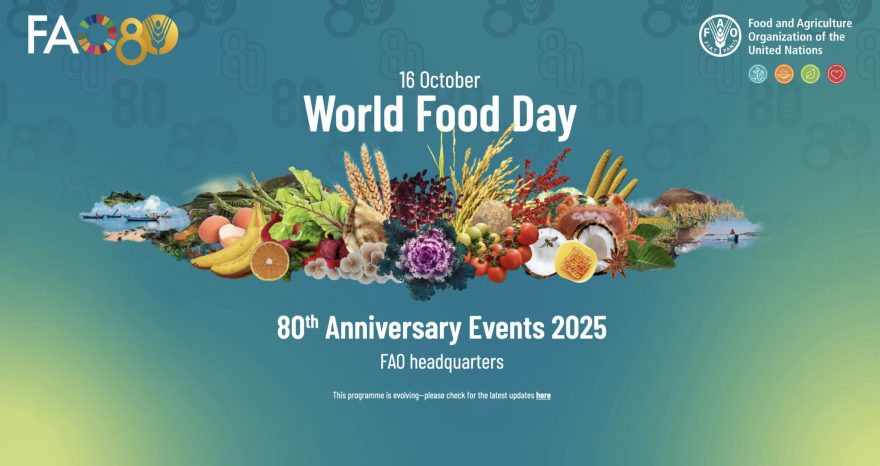 Rinnovabili • World Food Day 2025: climate change, hunger, and food rights