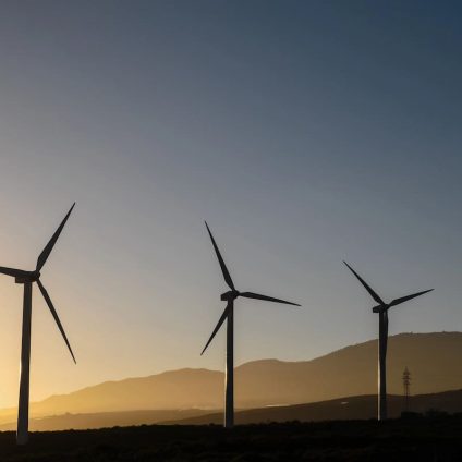Rinnovabili • ETO 2025: Wood Mackenzie warns of rising 2.6°C world