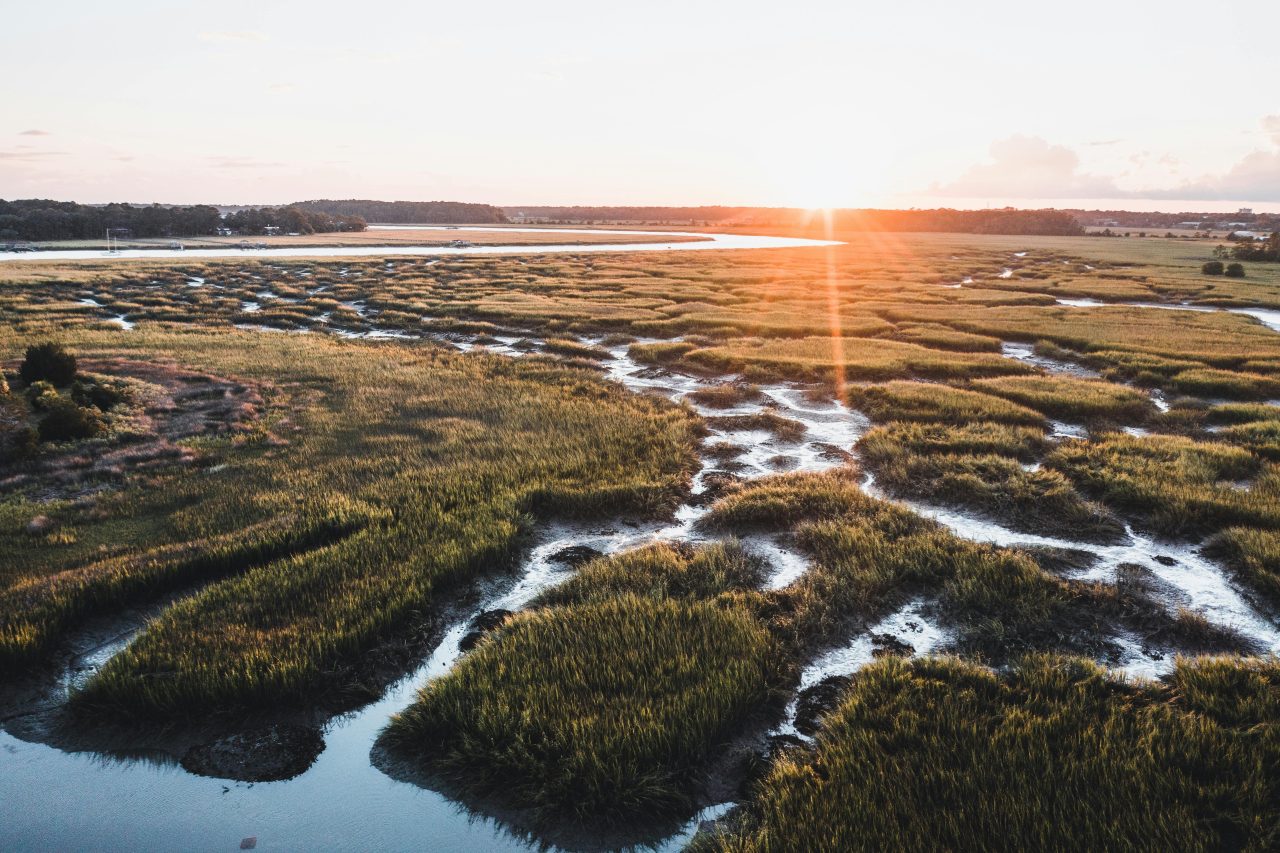 Rinnovabili • EPA Wetlands Proposal: Changes to Federal Clean Water Act Protections